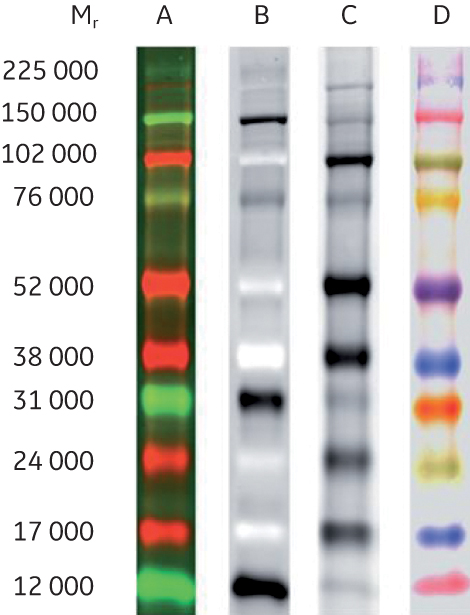 WB_Blog_PR_388_Fig_3