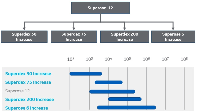 Superdex Increase and Superose Increase resins together cover the fractionation range for Superose 12