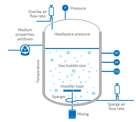 7 factors that affect oxygen transfer to cells in bioreactors | Cytiva