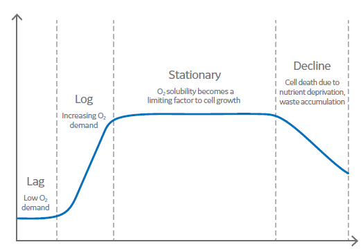 Cellular oxygen needs at different phases of cell growth