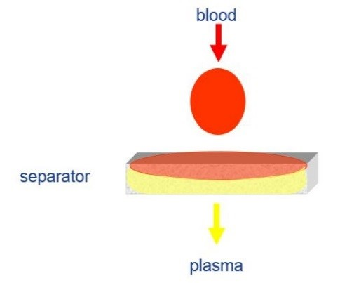 Diagnostic Assays Blood Separation Vertical Flow
