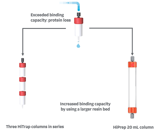 Illustration of how binding capacity can be increased