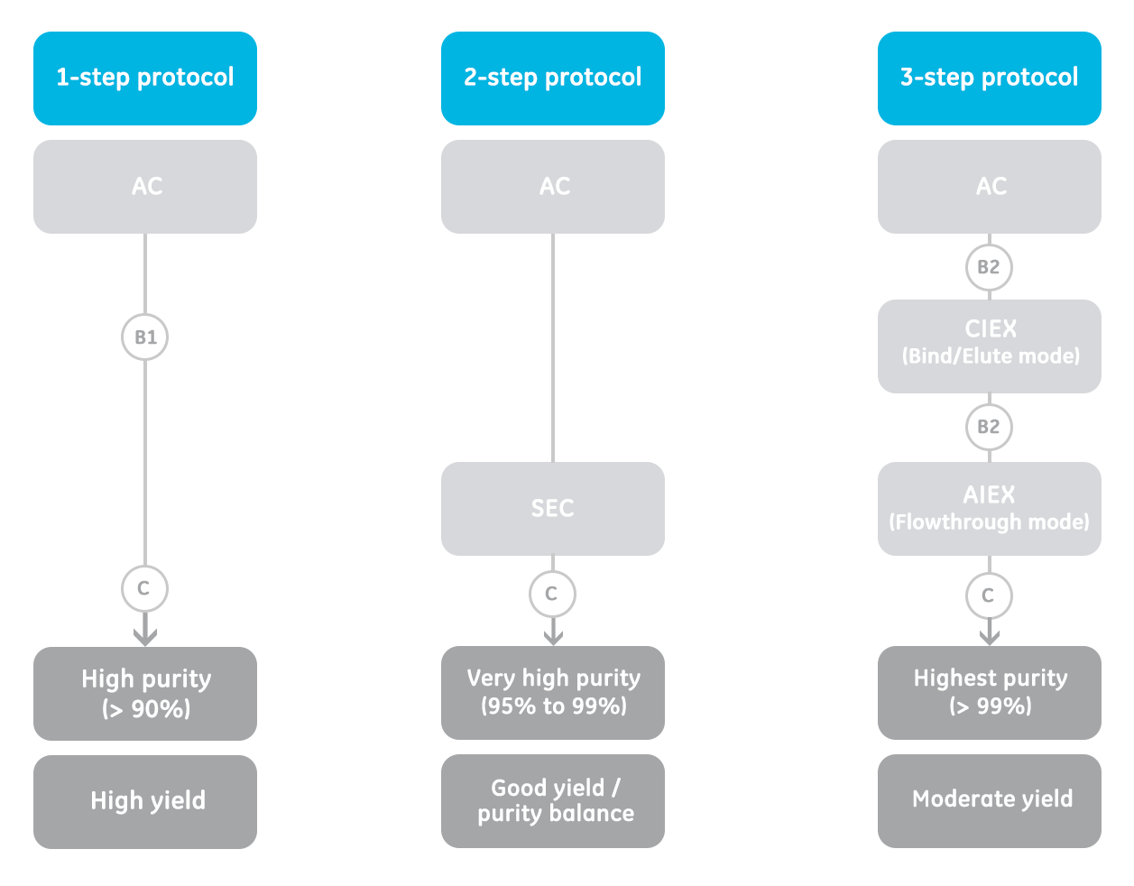 Antibody purification protocols Cytiva