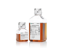 配送員設置 HyClone™ Cytiva | (FBS) Serum Bovine Fetal Tested Import USDA 管楽器・吹奏楽器