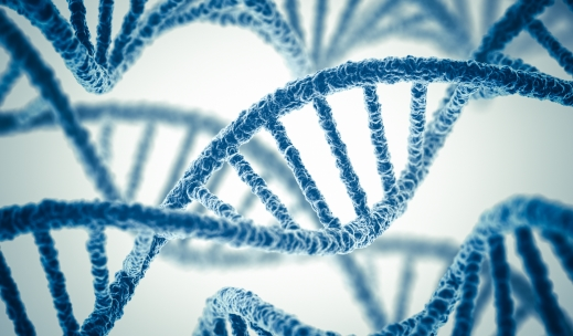 质粒 DNA 通常用于生产病毒载体。