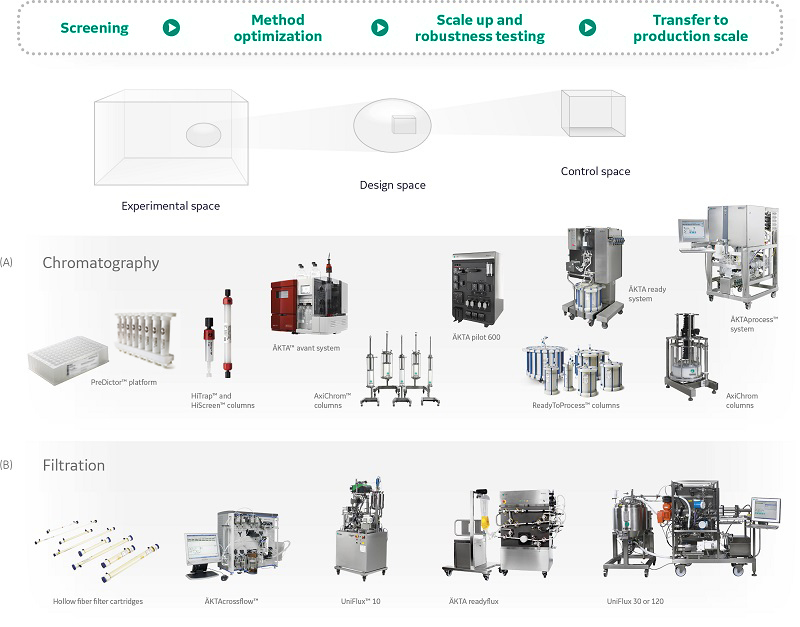 Bacterial vaccine manufacturing Cytiva