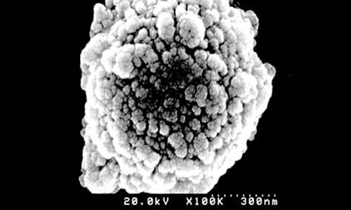 Cauliflower-shape surface of Sera-Mag beads provides large surface area for binding.