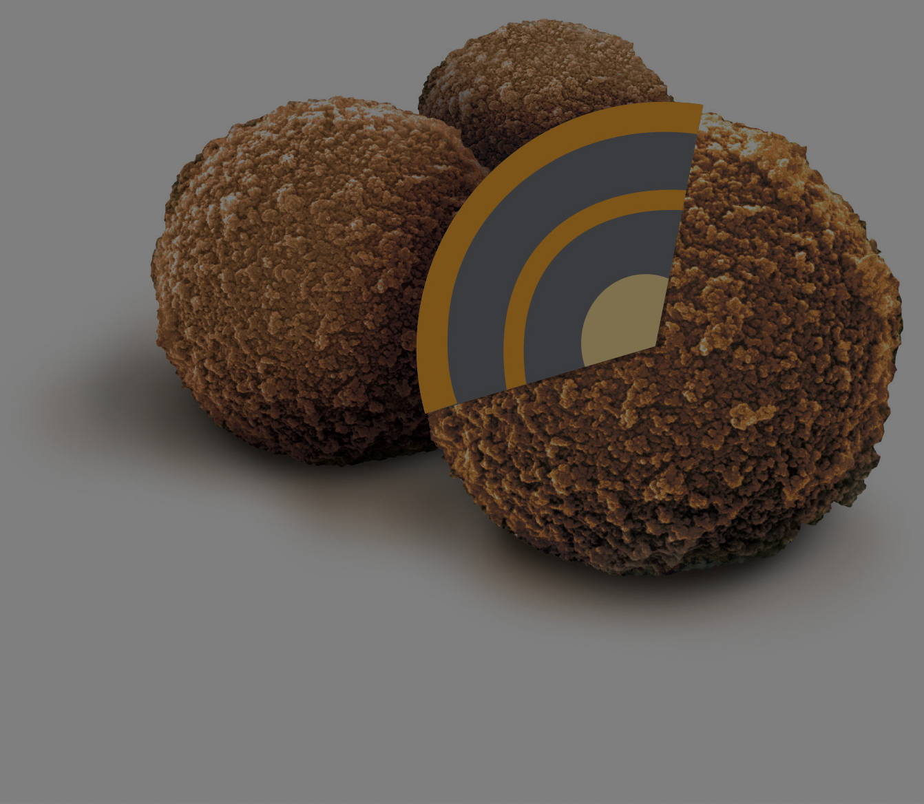 Sera-Mag SpeedBead cross section