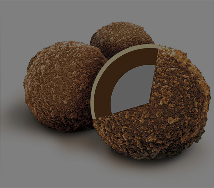 Sera-Mag Bead cross section