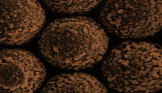 Sera-Mag magnetic beads