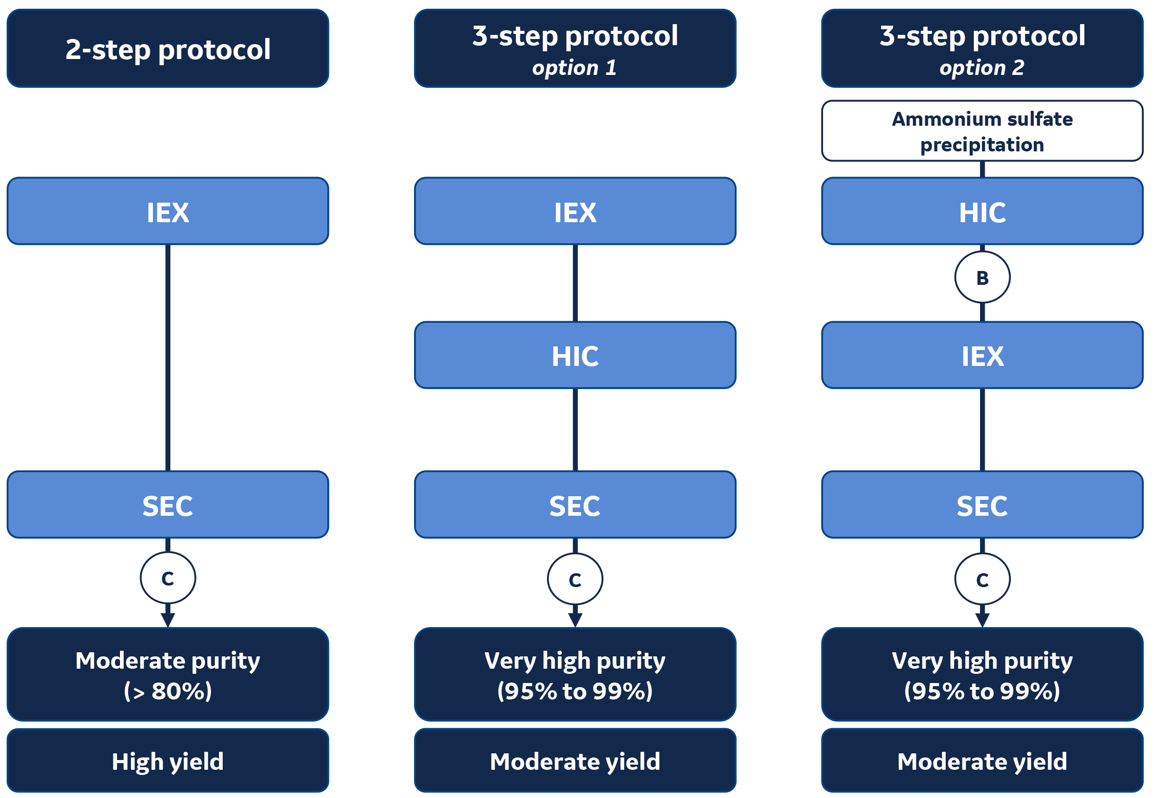 Untagged protein purification protocol 