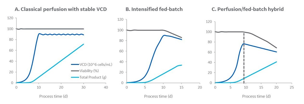 Process options for intensification of the production bioreactor