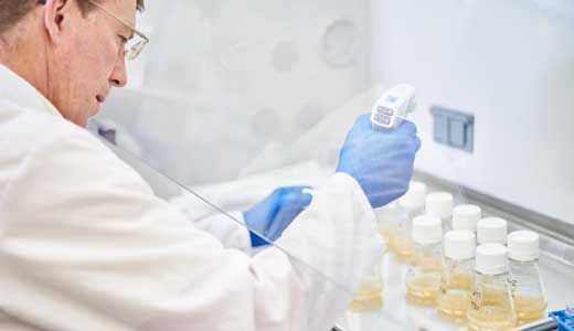 Upstream process development for fed-batch culture