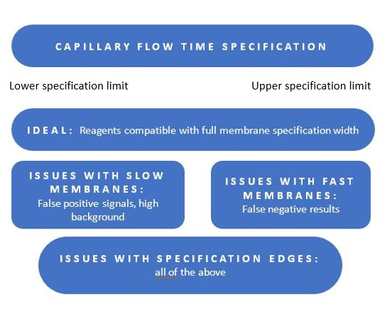 Possible issues with respect to lateral flow test requirements and membrane capillary flow time.