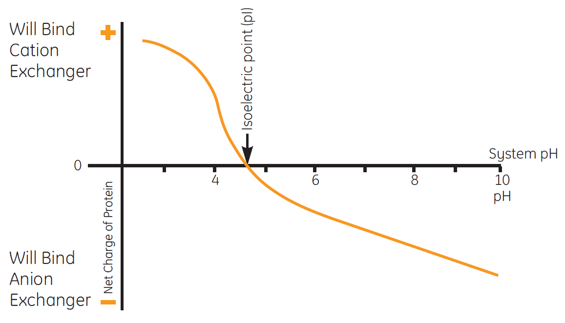 Troubleshooting protein loss during IEX chromatography Cytiva