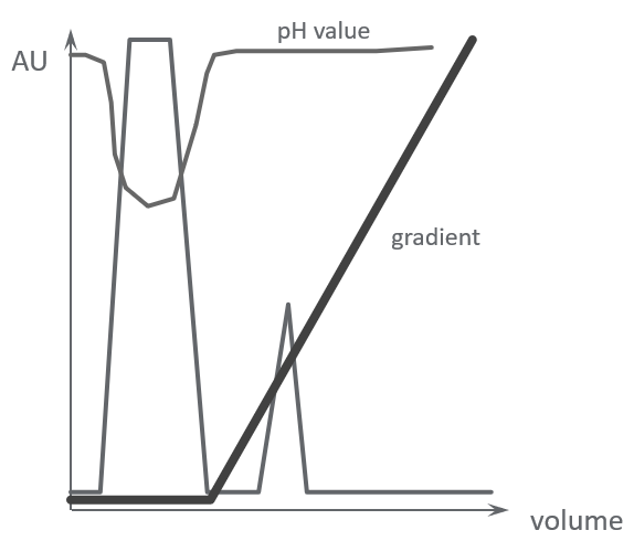 affect of sample starting pH on binding to an ion exchange resin