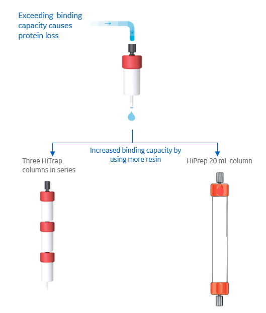 Increase binding capacity during ion exchange chromatography by using more resin