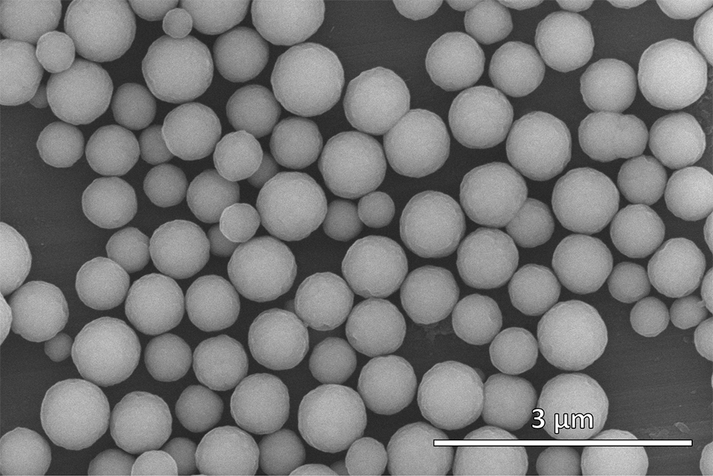 SeraSil-Mag silica beads 700_1_x25k