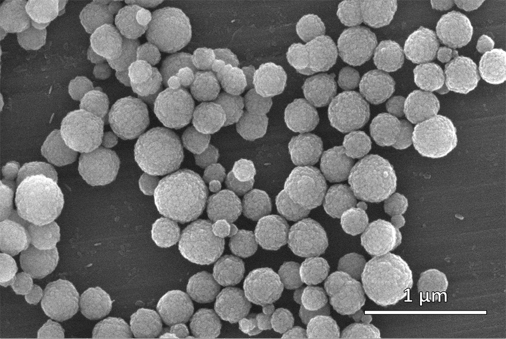 SeraSil-Mag silica beads 400_5_x50k_2