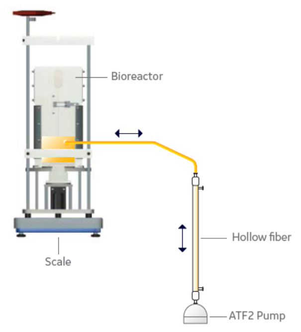 Perfusion setup with Xcellerex XDR-10 bioreactor and alternating tangential flow filtration (ATF) for cell retention.