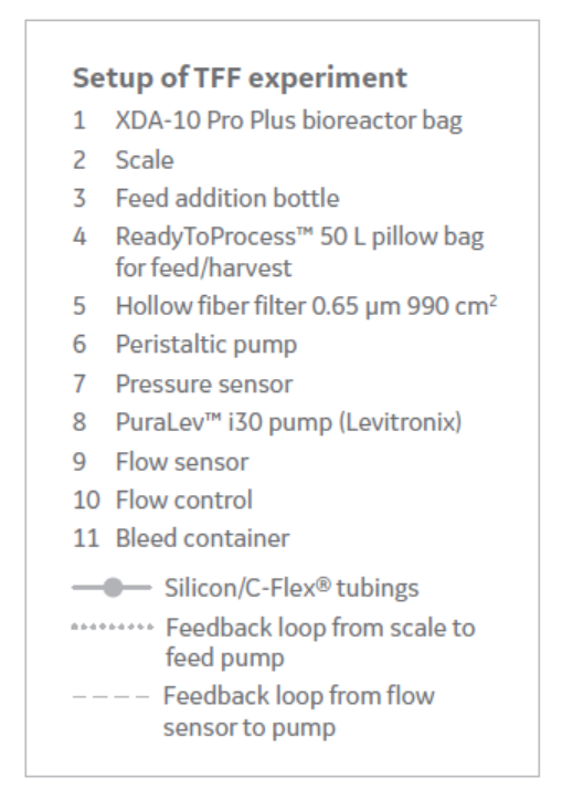 XDR-10 bioreactor process setup using TFF as cell retention method.