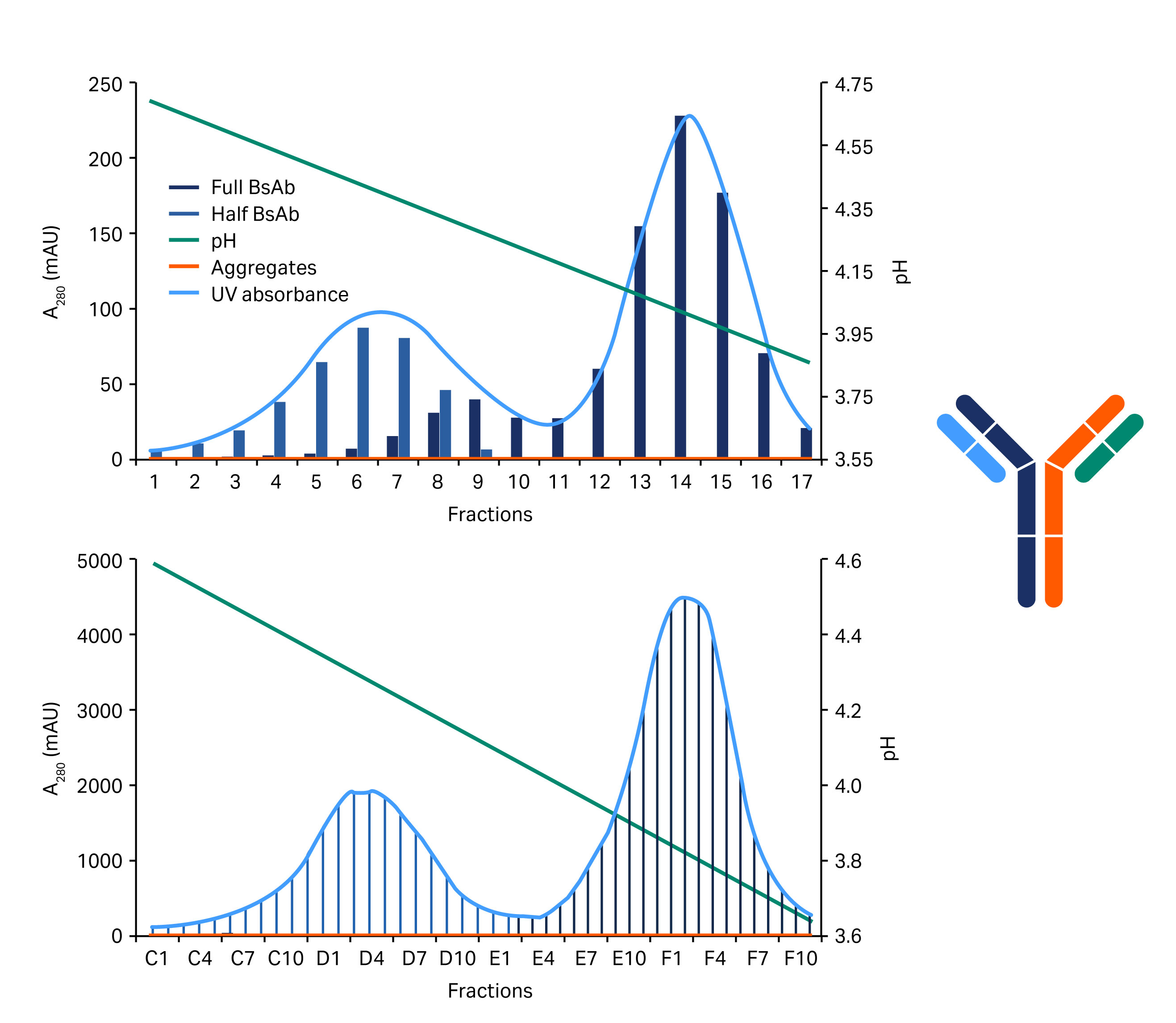 Chromatograms of the separation of half bispecific antibody (BsAb) and the full-length BsAb of a construct at low load and high loads of sample.