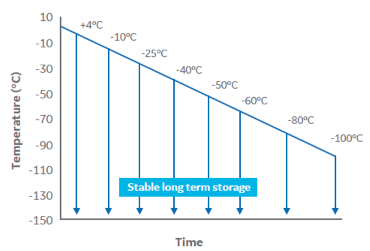 用于确定液氮储存前 VIA Freeze 系统降温终点的实验设计。