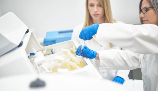 Support Training & Education