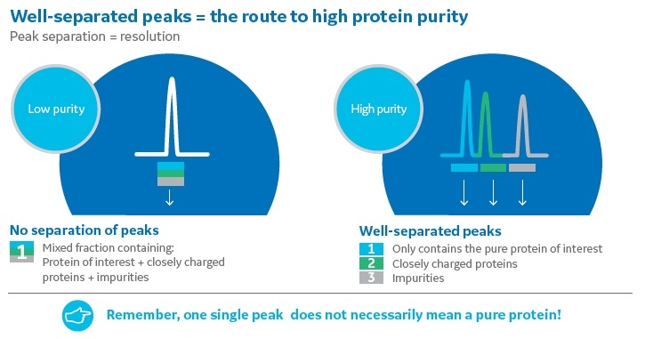 A single peak in the chromatogram can give the false impression that a protein is pure. However, if the same sample is applied to a very high-resolution column, multiple peaks may be revealed, which allows you to collect the peak of the protein of interest only.