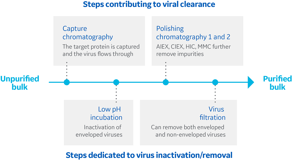 Viral clearance study basics Cytiva