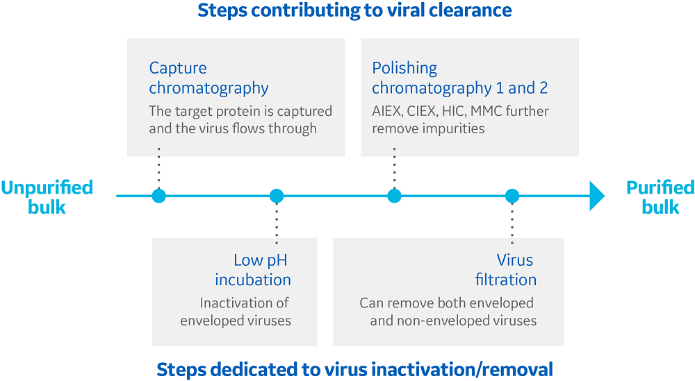 Overview of the typical steps that provide viral reduction in a downstream monoclonal antibody manufacturing process.