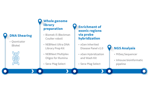 Standard NGS workflow in the targeted sequencing approach