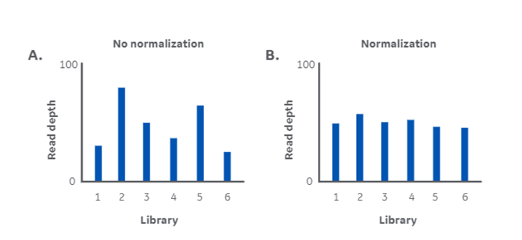 How normalization of NGS DNA libraries affects read depth consistency.