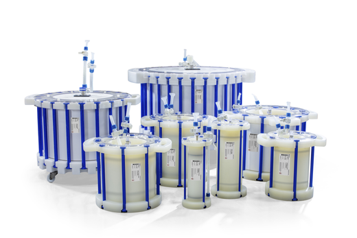 ReadyToProcess column portfolio2