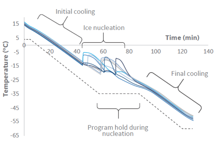 Cooling profile and cryobag temperatures recorded during the large volume cryopreservation study.