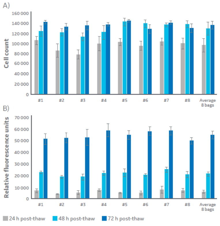 Viable cell counts and metabolic activity recorded for each of the eight bags in the large volume cryopreservation study.