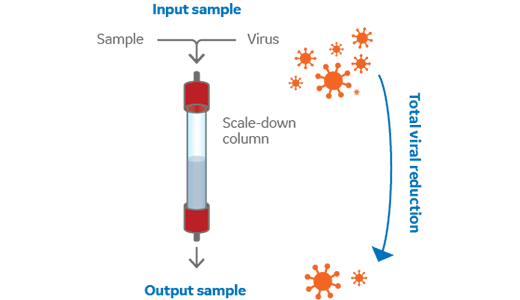 Virus scale down column_no_LRVformula