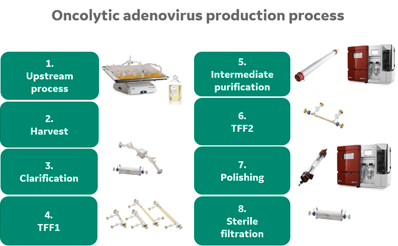 Oncolytic adenovirus production