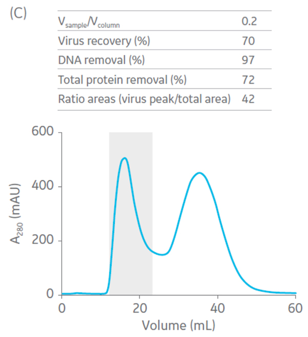 Fig-6c-oncolytic-adenovirus-production-iBET-case-study