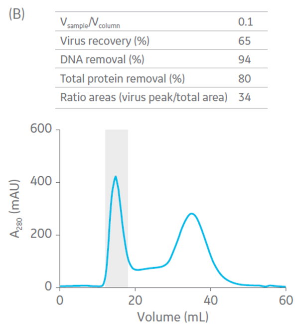Fig-6b-oncolytic-adenovirus-production-iBET-case-study
