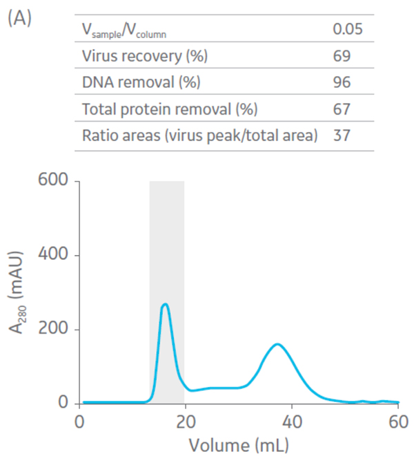 Fig-6a-oncolytic-adenovirus-production-iBET-case-study