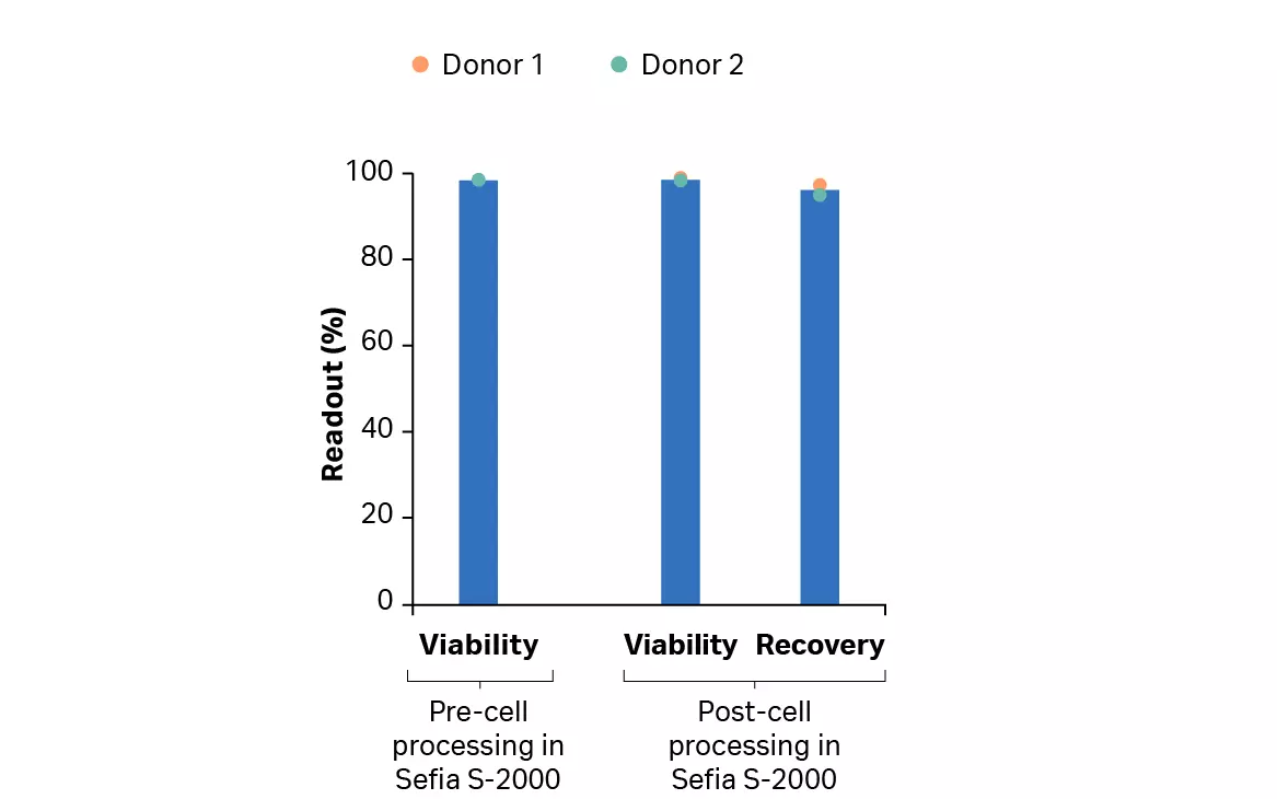 CAR T cell manufacturing. Recovery and viability of cultured T cells after Sefia harvest.