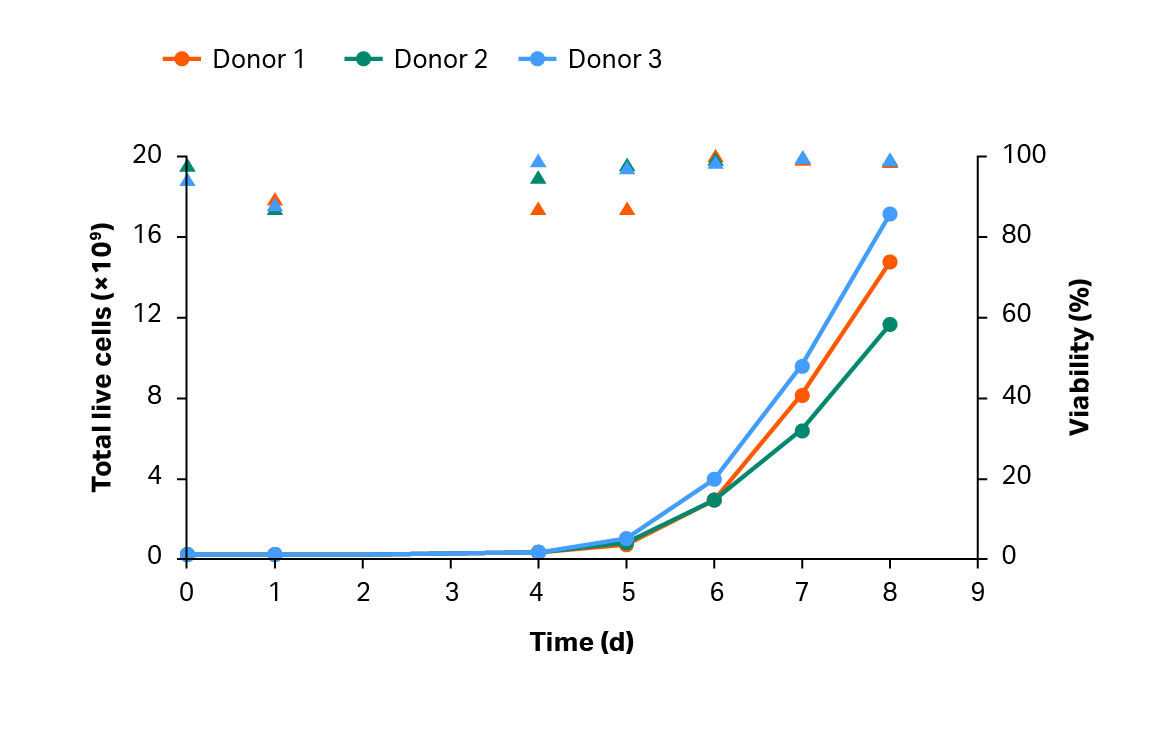 CAR T 细胞生产。扩增步骤后 T 细胞的累积生长和活力。