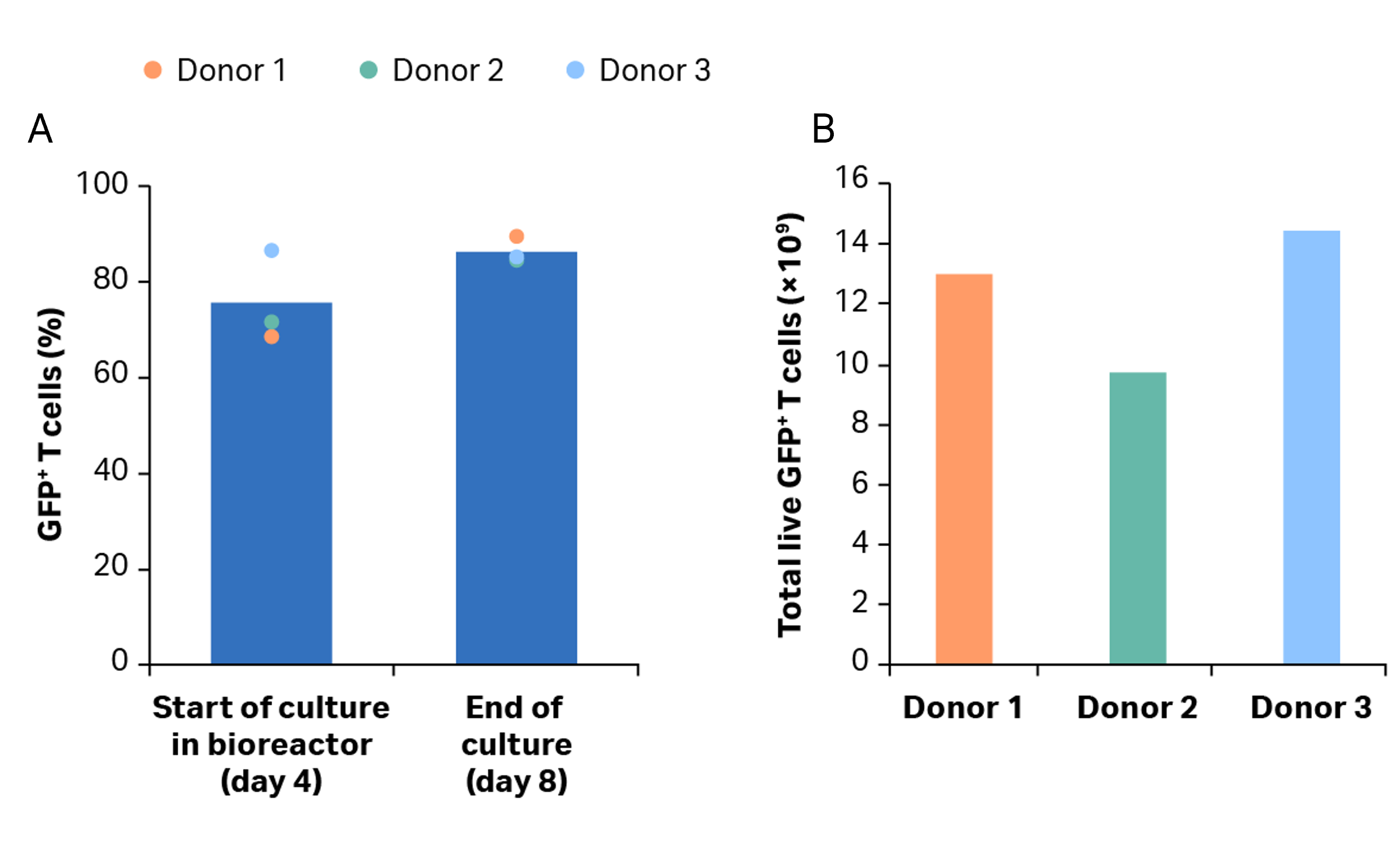 CAR T 细胞生产。扩增后转导的 GFP 阳性 T 细胞的百分比。