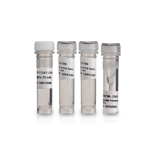 REC TAQ DNA POLYMERASE 250U