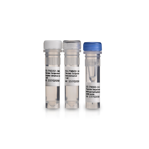 THERMO SEQUENASE DNA POLYMERASE, 1000U