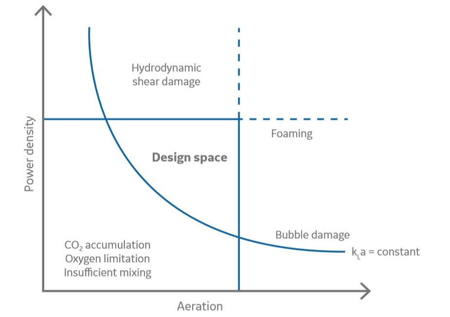 Scaling a mAb production process to Xcellerex bioreactors Cytiva