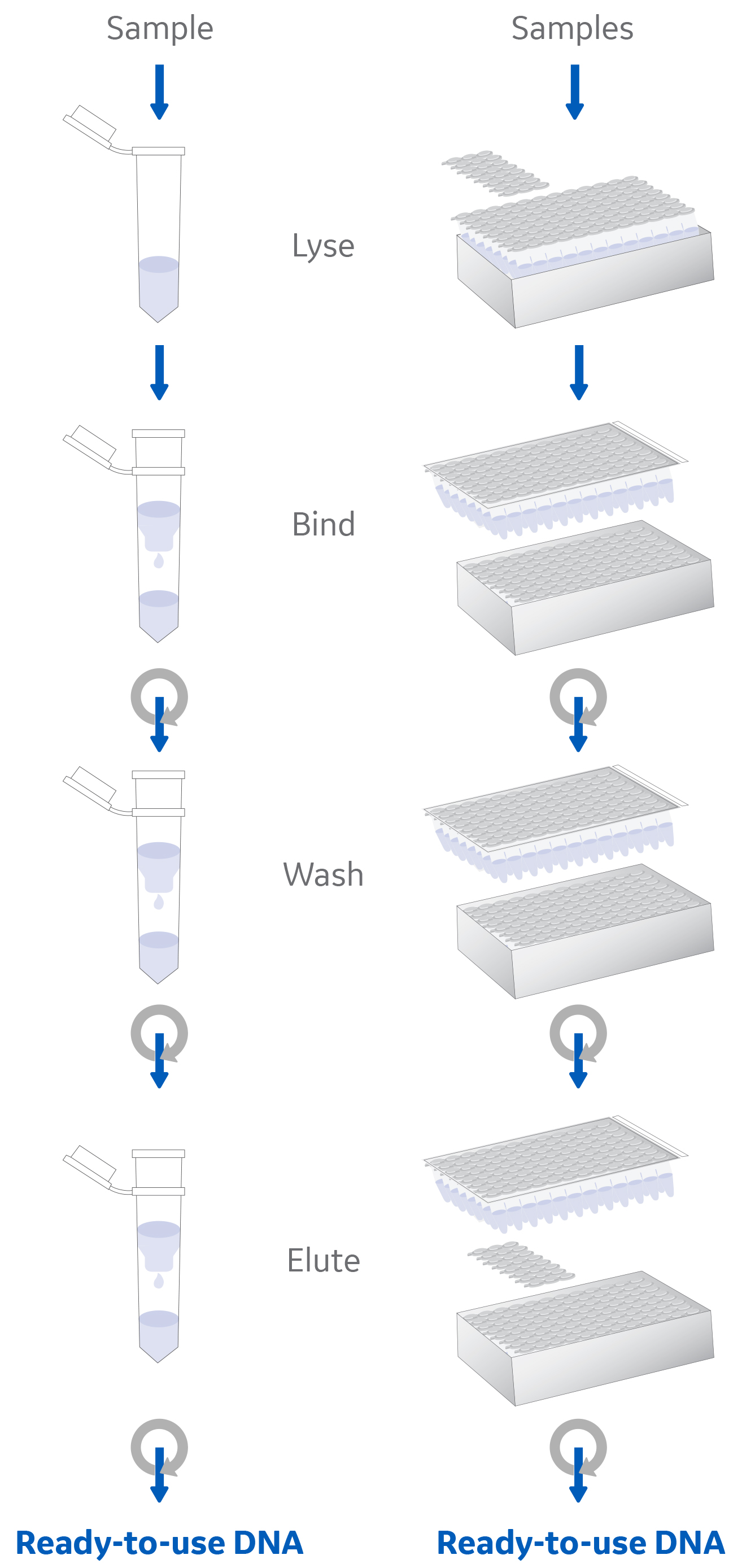 Solid-phase nucleic acid isolation using a silica membrane spin column
