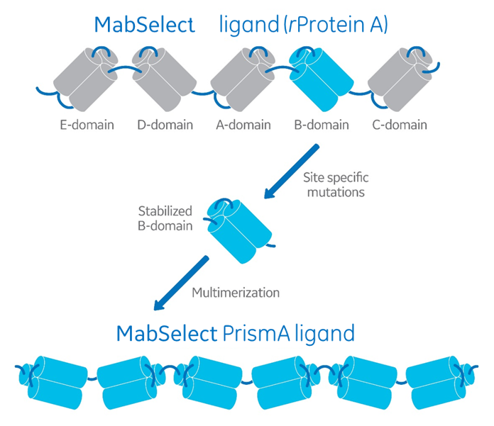 chromatography challenges with fiber adsorbents Cytiva