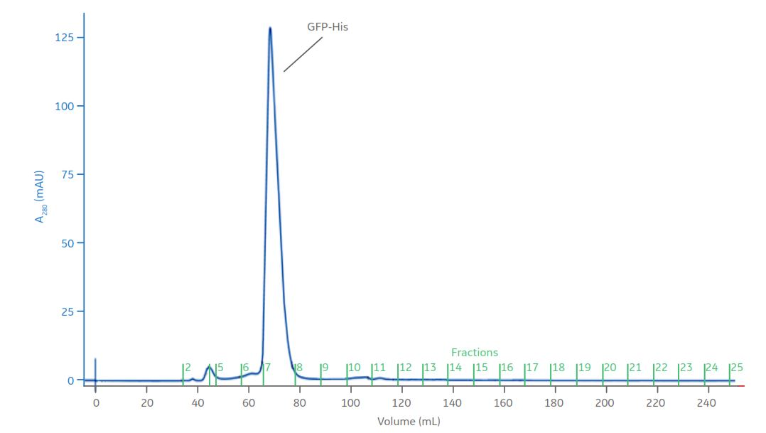 Final purification of his tagged green fluorescent protein by size exclusion chromatography after an initial capture of the protein using affinity chromatography
